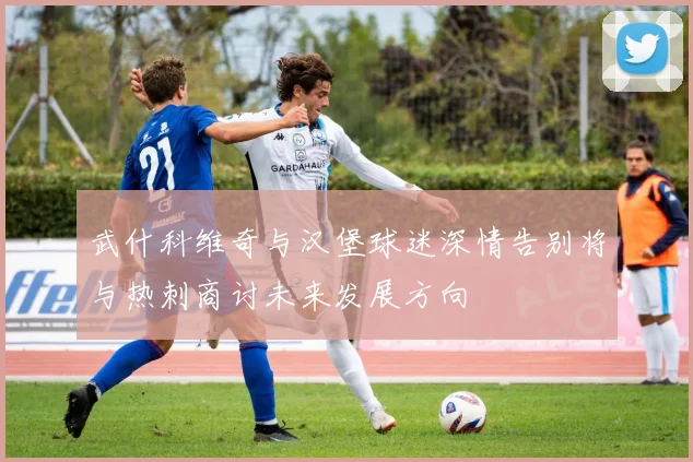 武什科维奇与汉堡球迷深情告别将与热刺商讨未来发展方向