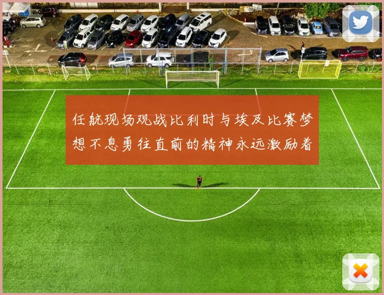 任航现场观战比利时与埃及比赛梦想不息勇往直前的精神永远激励着我们